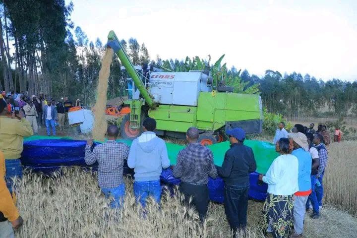 Agricultural development